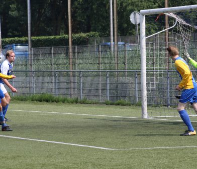 JO19-1_mierlohout_2